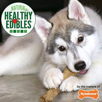 
              Nylabone Healthy Edibles Puppy Natural Long Lasting Dog Chew Treats Lamb & Apple Flavor X-Large/Souper - 50+ lbs.
            