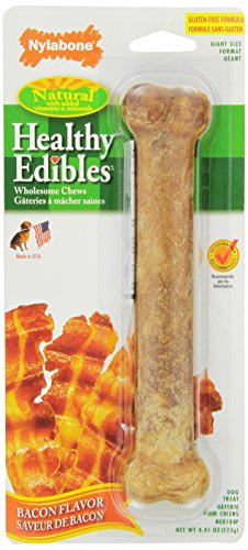 Nylabone Healthy Edibles Bacon Flavored Dog Treats | All Natural Grain Free Dog Treats Made In the USA Only | Small and Large Dog Chew Treats