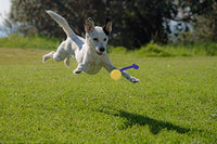 
              Our Pets Grrrassic Durable Toss Toy, Blue. Made in The USA
            