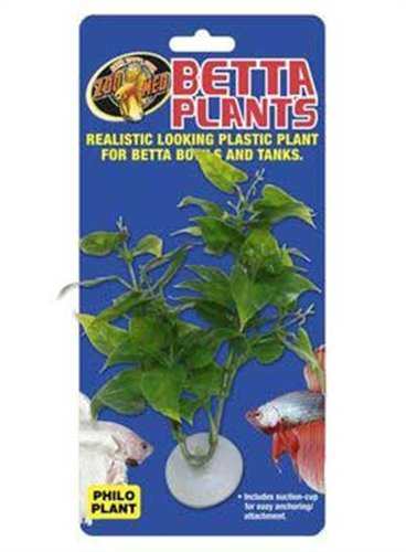 Zoo Med Laboratories AZMBP20 Betta Plant Philo