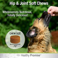 
              Four Paws Healthy Promise Advanced Formula Hip & Joint Supplement for Dogs Soft Chews 96 Count 20.22 oz.
            