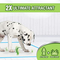 
              Four Paws Wee-Wee Grass Scented Puppy Pads 50 Count Standard 22" x 23"
            