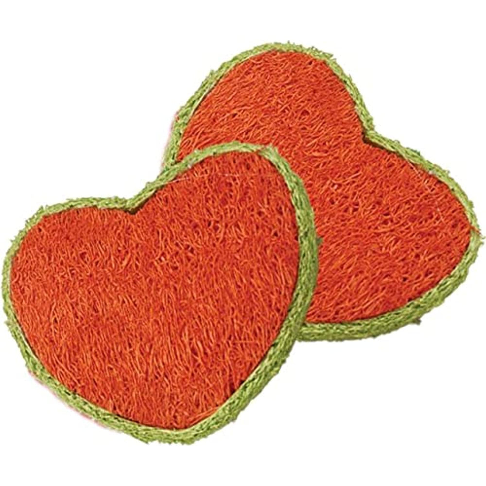 AE Cage Company Nibbles Hearts Loofah Chew Toys 2 Count