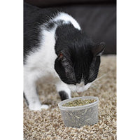 
              Our Pets Premium North-American Grown Catnip, 1/2-Ounce Cup (1050011697)
            