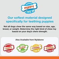 
              Nylabone Dental Kit for Small Puppies
            