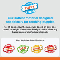 Nylabone Dental Kit for Small Puppies