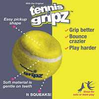 
              Nylabone Power Play Dog Tennis Ball Gripz 3 Count Small
            