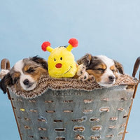 
              ZippyPaws - Colorful Caterpillar Squeaky Stuffed Plush Dog Toy - Deluxe Squeakers
            
