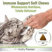 Four Paws Healthy Promise Cat L-Lysine Soft Chews 110 Count 4.27 oz.