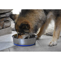 
              OurPets Premium DuraPet Dog Bowl 3qt
            