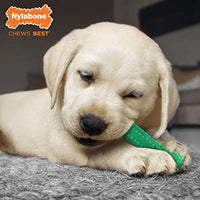 Nylabone Dental Kit for Small Puppies