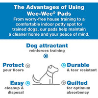 
              Four Paws Wee Wee Absorbent Pads for Dogs Standard 10 Count
            