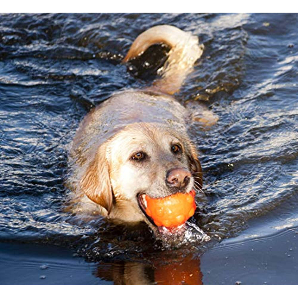 Jolly Pets Orange Jolly Jumper Ball Dog Toy 3 in