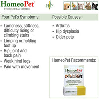 
              HomeoPet Joint Stress, 15 ml
            