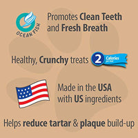 
              Emerald Pet Feline Dental Crunchy Natural Grain Free Cat Treats, Made in USA, 3 oz, Model: 00404-CO
            