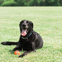 
              Chuckit! Tennis Fetch Ball Dog Toy; Non Abrasive Felt is Safer for Dog's Mouths; Small 2-Pack, 2 Inches Diameter
            