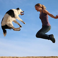 
              Nulo Puppy & Adult Freestyle Trainers Dog Treats: Healthy No Gluten Low Calorie Dog Training Rewards - Turkey Recipe - 4 Oz Bag, One Size (56TT04)
            