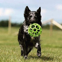 
              JW Pet Hol-ee Roller Dog Chew Toy, Medium
            