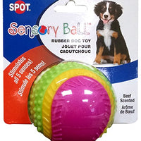 Ethical Pets Sensory Ball Dog Toy, 3.25"