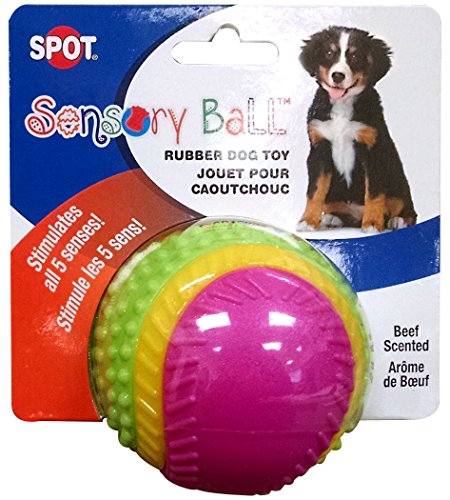 Ethical Pets Sensory Ball Dog Toy, 2.5
