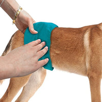 Simple Solution Washable Male Dog Diapers | Absorbent Male Wraps with Leak Proof Fit | Excitable Urination, Incontinence, or Male Marking | Small | 1 Reusable Dog Diaper Per Pack