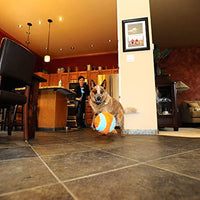 
              ChuckIt! Indoor Ball Dog Fetch Toy For Medium To Large Dogs, Orange/Blue One Size Only
            