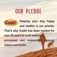 Cadet Braided Piggy Sticks for Dogs Sticks Medium (4 Count)