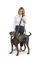 
              PetSafe CareLift Support Harness - Full Body Lifting Aid with Handle & Shoulder Strap - Great for Pet Mobility & Older Dogs to Help Them Up - Comfortable, Breathable Material - Easy to Adjust - Large
            