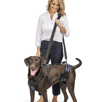 PetSafe CareLift Support Harness - Full Body Lifting Aid with Handle & Shoulder Strap - Great for Pet Mobility & Older Dogs to Help Them Up - Comfortable, Breathable Material - Easy to Adjust - Large
