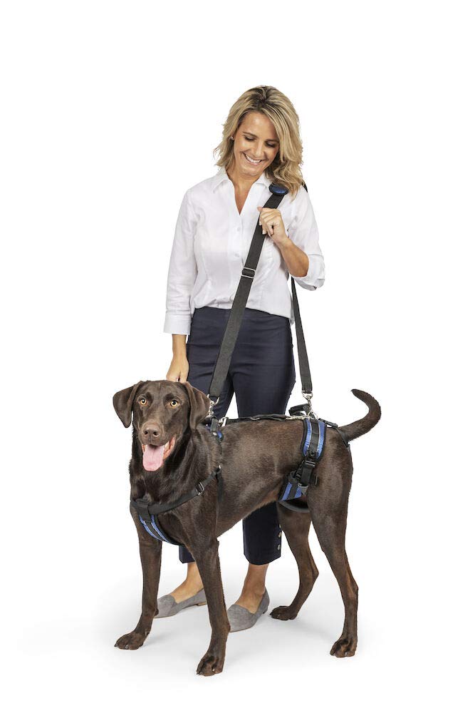 PetSafe CareLift Support Harness - Full Body Lifting Aid with Handle & Shoulder Strap - Great for Pet Mobility & Older Dogs to Help Them Up - Comfortable, Breathable Material - Easy to Adjust - Large