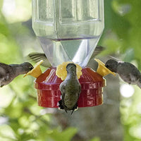 
              Perky-Pet 201 Lantern Hummingbird Feeder- 18 oz
            