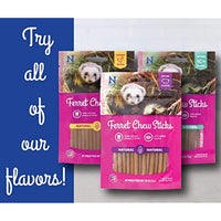 
              N-Bone Ferret Chew Treats 1.87 Oz/53 G
            