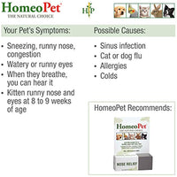 
              HomeoPet Nose Relief, 15 ml
            