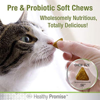 
              Four Paws Healthy Promise Pre and Probiotics for Dogs Soft Chews 90 ct
            