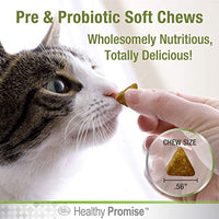 
              Four Paws Healthy Promise Pre and Probiotics for Cats Soft Chews 90 Count 3.81 oz.
            