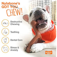 
              Nylabone Ring Power Chew Dog Toy Ring Original Large/Giant (1 Count)
            