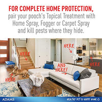 
              Adams Plus Fleas and Tick Prevention Spot On for Dogs Topical 3 month supply Small Dog 5 to 14 lbs
            