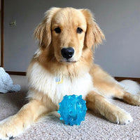 
              Ethical 54366 Squeeze Play Ball - Blue Medium 1 Toy 3.5"
            
