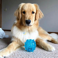 Ethical 54366 Squeeze Play Ball - Blue Medium 1 Toy 3.5"