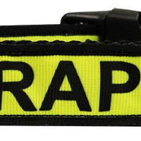 Mirage Pet Products - Therapy Dog Caution Tape Nylon Ribbon Collar Medium
