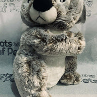 Multipet Koala 14 in Limited Edition Plush Dog Toy