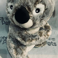 Multipet Koala 14 in Limited Edition Plush Dog Toy