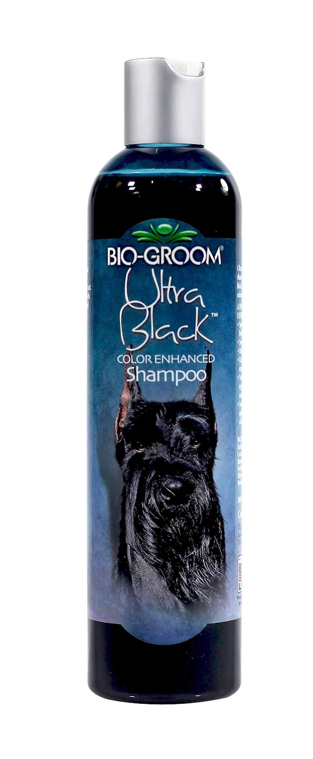 Bio groom black shampoo online