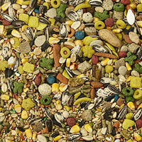 
              Kaytee Fiesta Mouse And Rat Food, 2-Lb Bag
            
