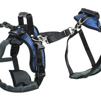 PetSafe CareLift Support Harness - Full Body Lifting Aid with Handle & Shoulder Strap - Great for Pet Mobility & Older Dogs to Help Them Up - Comfortable, Breathable Material - Easy to Adjust - Large