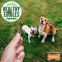 
              Nylabone Healthy Edibles Chewy Dog Treat Sticks Beef 12 oz.
            