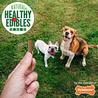 
              Nylabone Healthy Edibles Chewy Dog Treat Sticks Bacon & Cheese 12 oz.
            