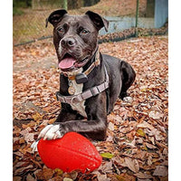 
              Jolly Pets Football Dog Toy, 8 Inches, Orange
            