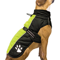 Fashion Pet Sporty Jacket Black & Green Dog Coat Water Repellent Reflective Large