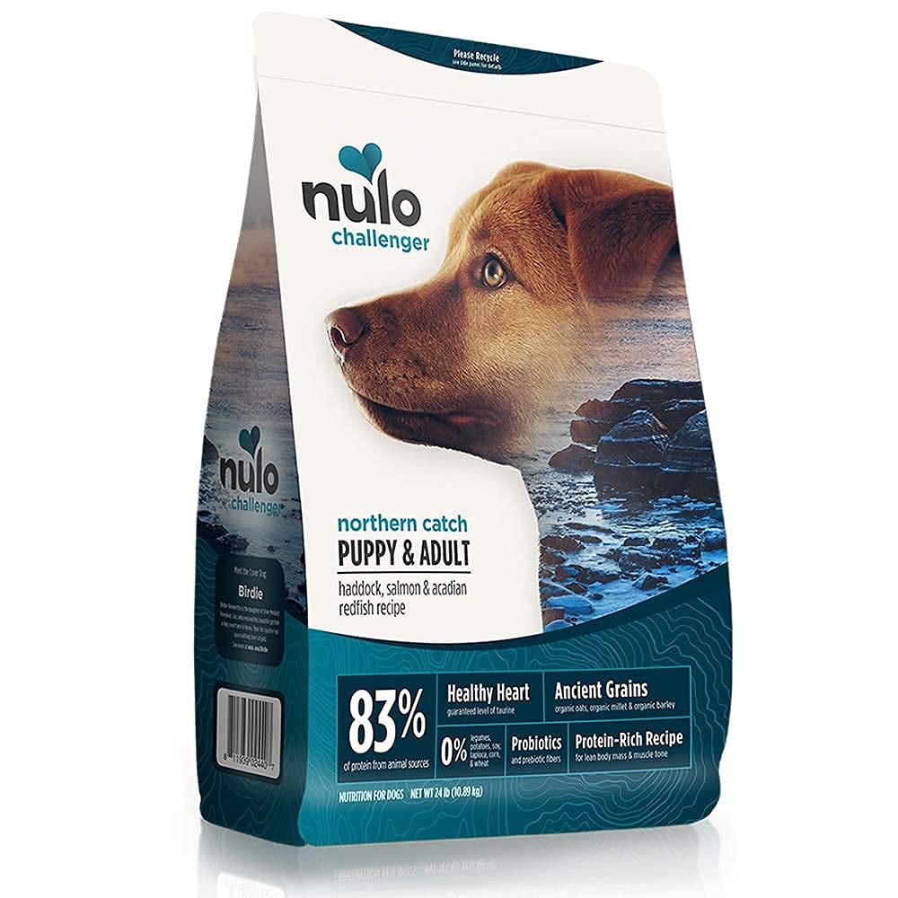 Nulo, Dog Challenger Northern Catch Puppy & Adult, 24 Pound
